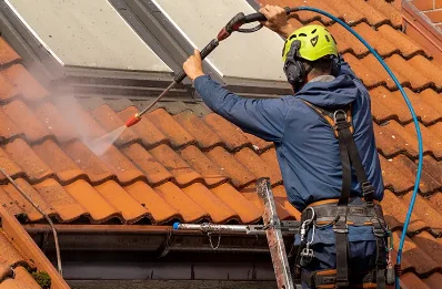 Démoussage et hydrofuge de toiture à Pageas